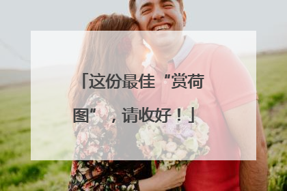 这份最佳“赏荷图”，请收好！