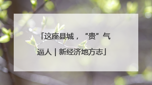 这座县城，“贵”气逼人｜新经济地方志