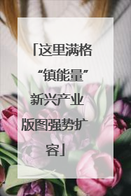 这里满格“镇能量” 新兴产业版图强势扩容