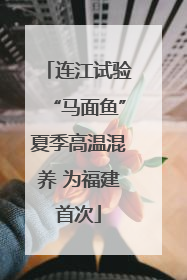 连江试验“马面鱼”夏季高温混养 为福建首次