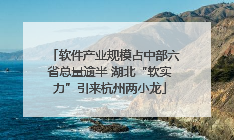 软件产业规模占中部六省总量逾半 湖北“软实力”引来杭州两小龙