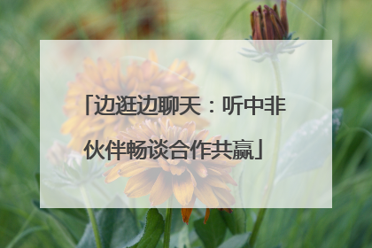 边逛边聊天：听中非伙伴畅谈合作共赢