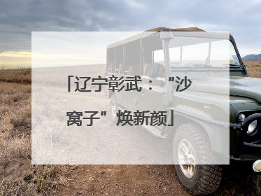 辽宁彰武：“沙窝子”焕新颜