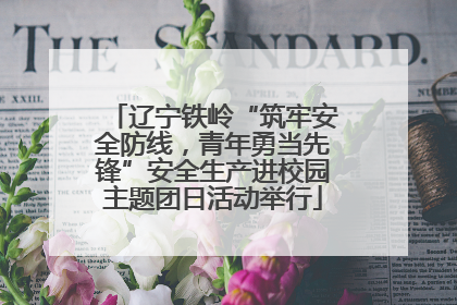 辽宁铁岭“筑牢安全防线，青年勇当先锋”安全生产进校园主题团日活动举行