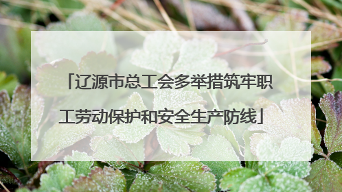 辽源市总工会多举措筑牢职工劳动保护和安全生产防线