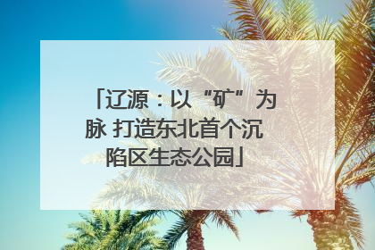 辽源：以“矿”为脉 打造东北首个沉陷区生态公园
