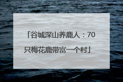 谷城深山养鹿人：70只梅花鹿带富一个村