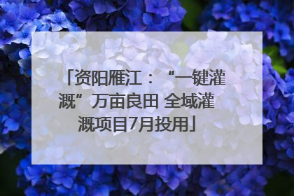 资阳雁江：“一键灌溉”万亩良田 全域灌溉项目7月投用