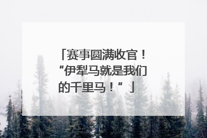 赛事圆满收官！“伊犁马就是我们的千里马！”