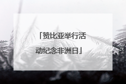 赞比亚举行活动纪念非洲日
