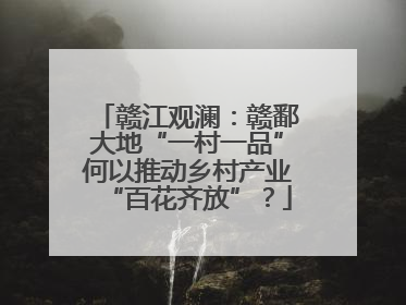赣江观澜：赣鄱大地“一村一品”何以推动乡村产业“百花齐放”？