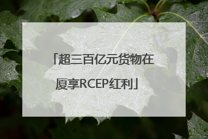 超三百亿元货物在厦享RCEP红利