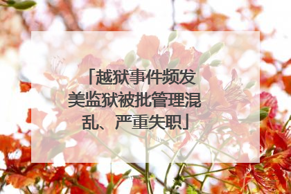 越狱事件频发 美监狱被批管理混乱、严重失职