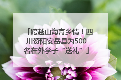跨越山海寄乡情！四川资阳安岳县为500名在外学子“送礼”