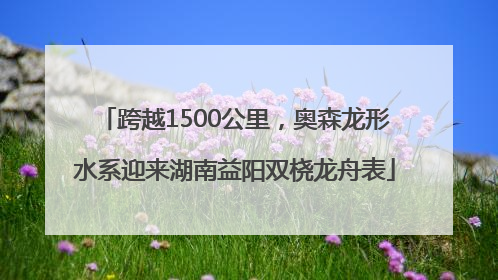 跨越1500公里，奥森龙形水系迎来湖南益阳双桡龙舟表
