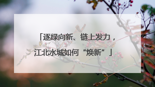 逐绿向新、链上发力，江北水城如何“焕新”