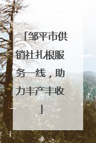 邹平市供销社扎根服务一线，助力丰产丰收