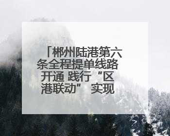 郴州陆港第六条全程提单线路开通 践行“区港联动” 实现“半日通关”