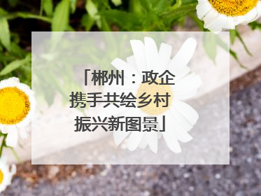 郴州：政企携手共绘乡村振兴新图景