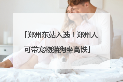 郑州东站入选！郑州人可带宠物猫狗坐高铁