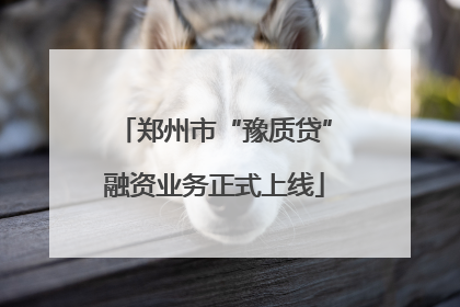郑州市“豫质贷”融资业务正式上线