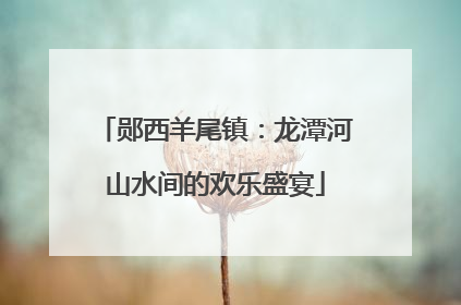 郧西羊尾镇：龙潭河山水间的欢乐盛宴