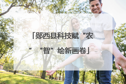 郧西县科技赋“农”“智”绘新画卷