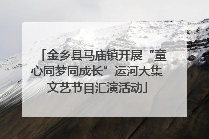 金乡县马庙镇开展“童心同梦同成长”运河大集文艺节目汇演活动
