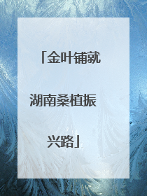 金叶铺就湖南桑植振兴路