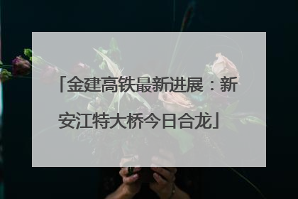 金建高铁最新进展：新安江特大桥今日合龙