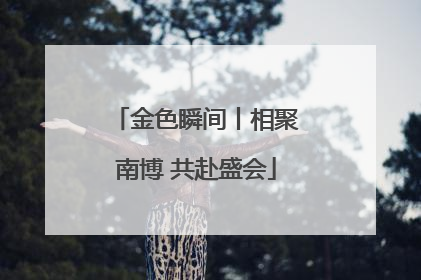 金色瞬间丨相聚南博 共赴盛会
