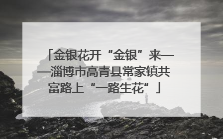 金银花开“金银”来——淄博市高青县常家镇共富路上“一路生花”