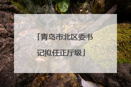 青岛市北区委书记拟任正厅级