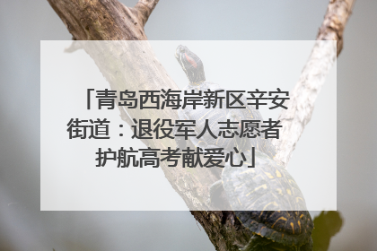 青岛西海岸新区辛安街道：退役军人志愿者护航高考献爱心