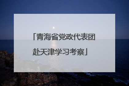 青海省党政代表团赴天津学习考察