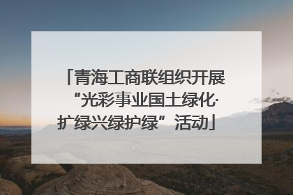青海工商联组织开展“光彩事业国土绿化·扩绿兴绿护绿”活动