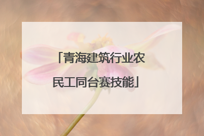 青海建筑行业农民工同台赛技能