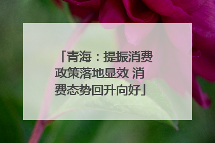 青海：提振消费政策落地显效 消费态势回升向好