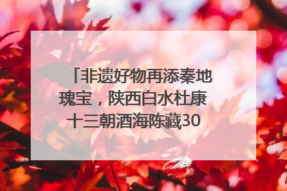 非遗好物再添秦地瑰宝，陕西白水杜康十三朝酒海陈藏30年别具一格
