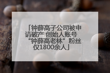 钟薛高子公司被申请破产 创始人账号“钟薛高老林”粉丝仅1800余人