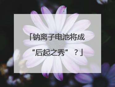 钠离子电池将成“后起之秀”？