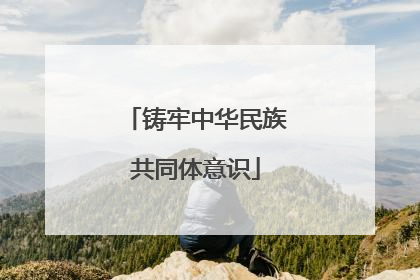 铸牢中华民族共同体意识