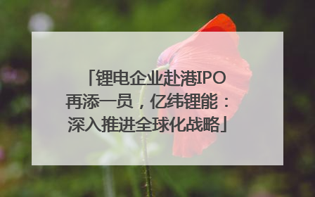 锂电企业赴港IPO再添一员，亿纬锂能：深入推进全球化战略