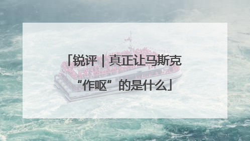 锐评｜真正让马斯克“作呕”的是什么
