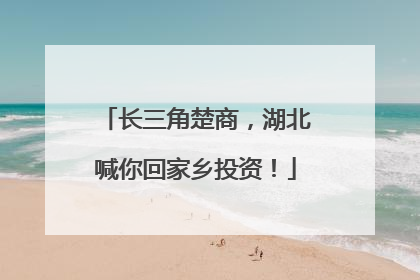 长三角楚商，湖北喊你回家乡投资！