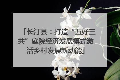 长汀县：打造“五好三共”庭院经济发展模式激活乡村发展新动能
