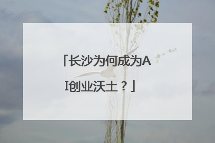 长沙为何成为AI创业沃土？