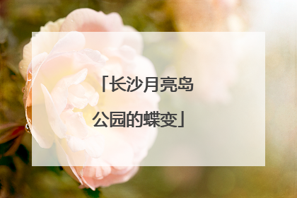 长沙月亮岛公园的蝶变