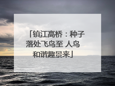 镇江高桥：种子落处飞鸟至 人鸟和谐趣景来