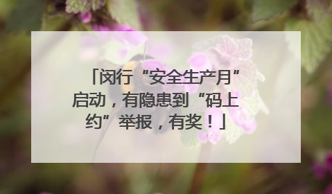 闵行“安全生产月”启动，有隐患到“码上约”举报，有奖！